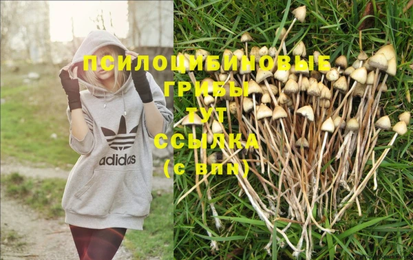 спайс Кинешма