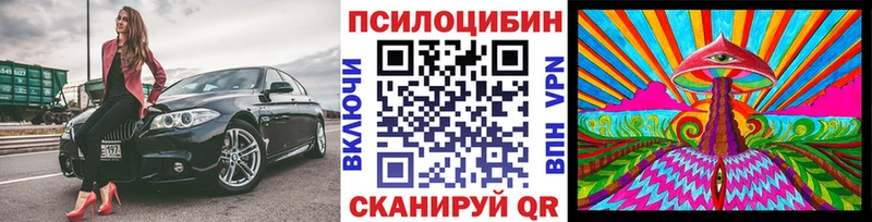 Псилоцибиновые грибы Psilocybine cubensis  OMG маркетплейс  Далматово 